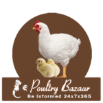 poultry bazaar